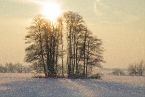 winter-impressions-1738870_1920